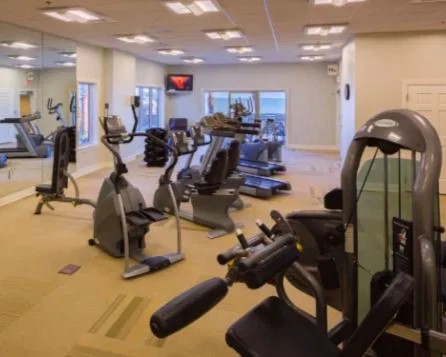 Escapes! To The Shores gym