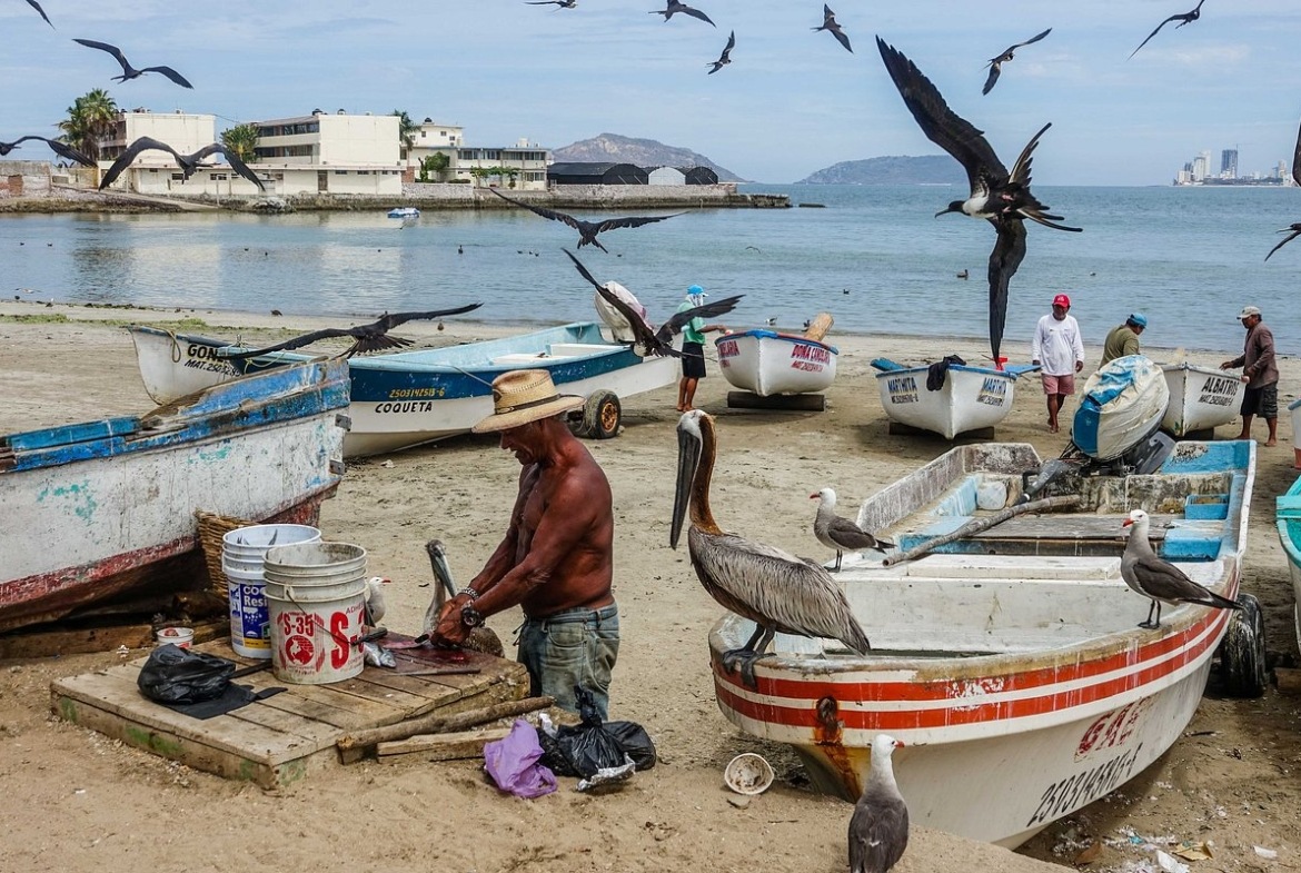 Vacation Internationale Torres Mazatlan Fisherman