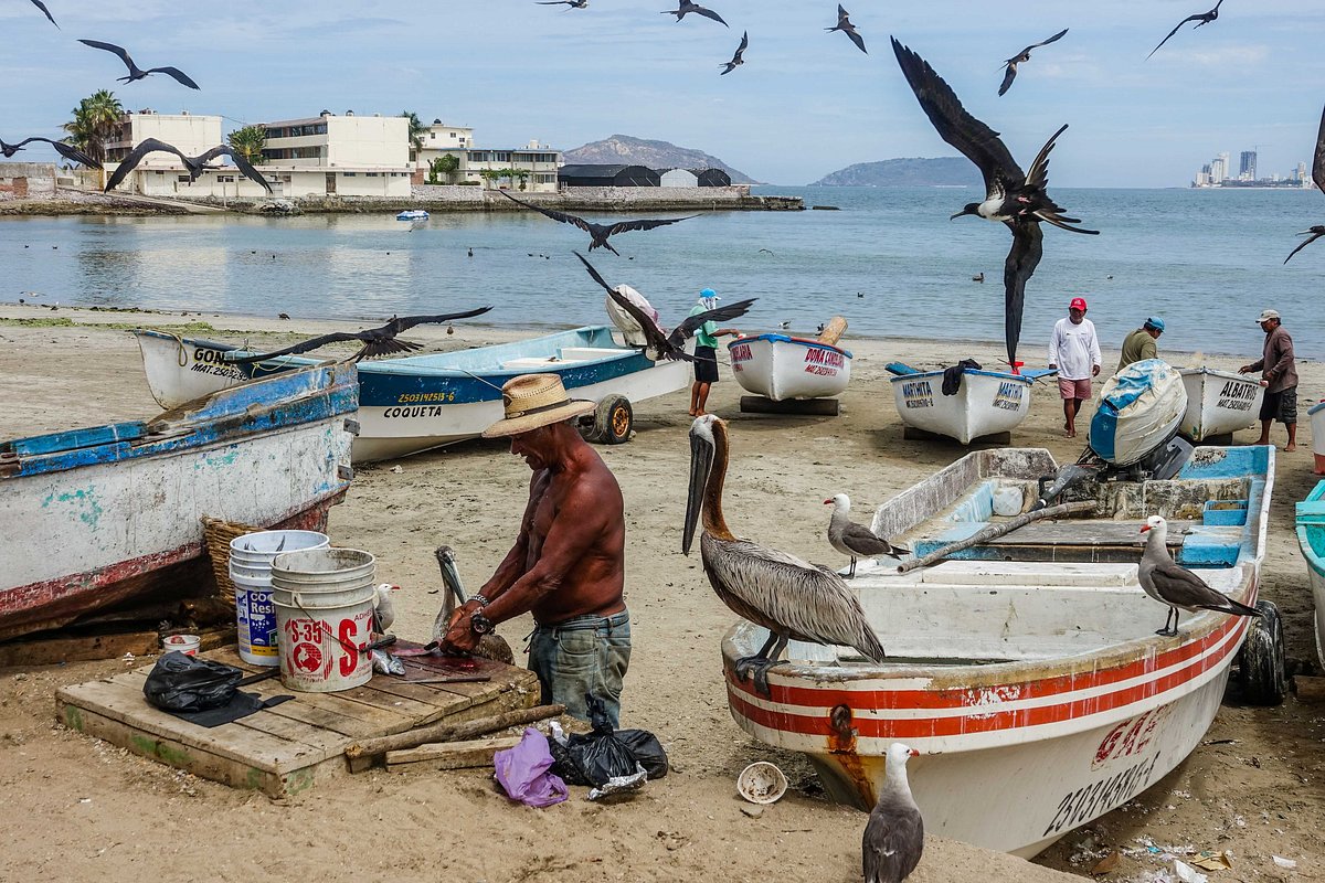 Vacation Internationale Torres Mazatlan Fisherman