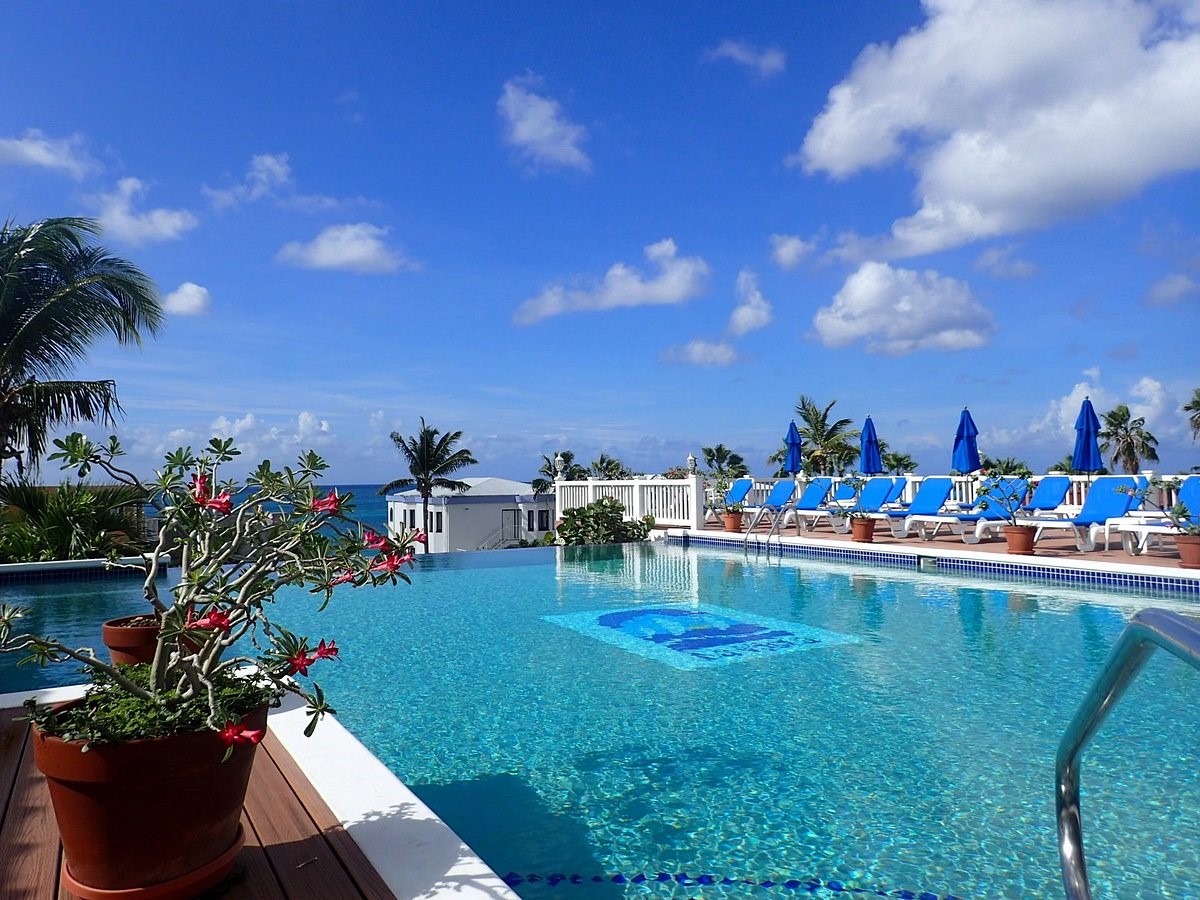 la vista infinity pool