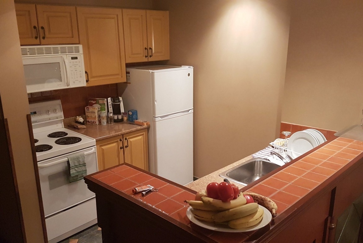 Le Sommet Des Neiges Tremblant kitchen