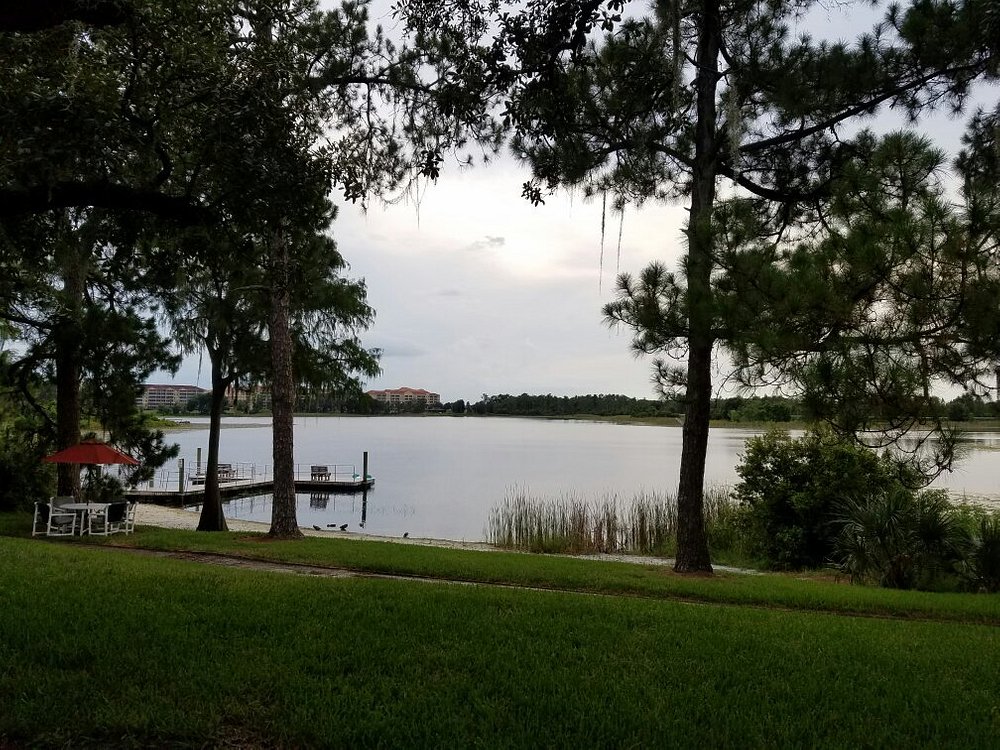 lake view