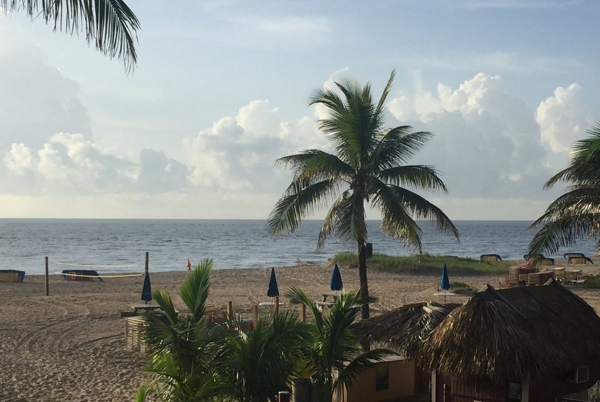 beach area