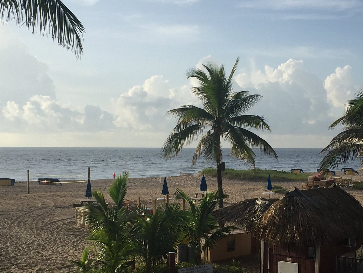 beach area