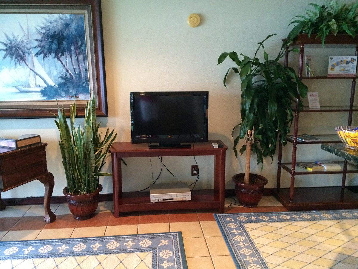 Living Area 2
