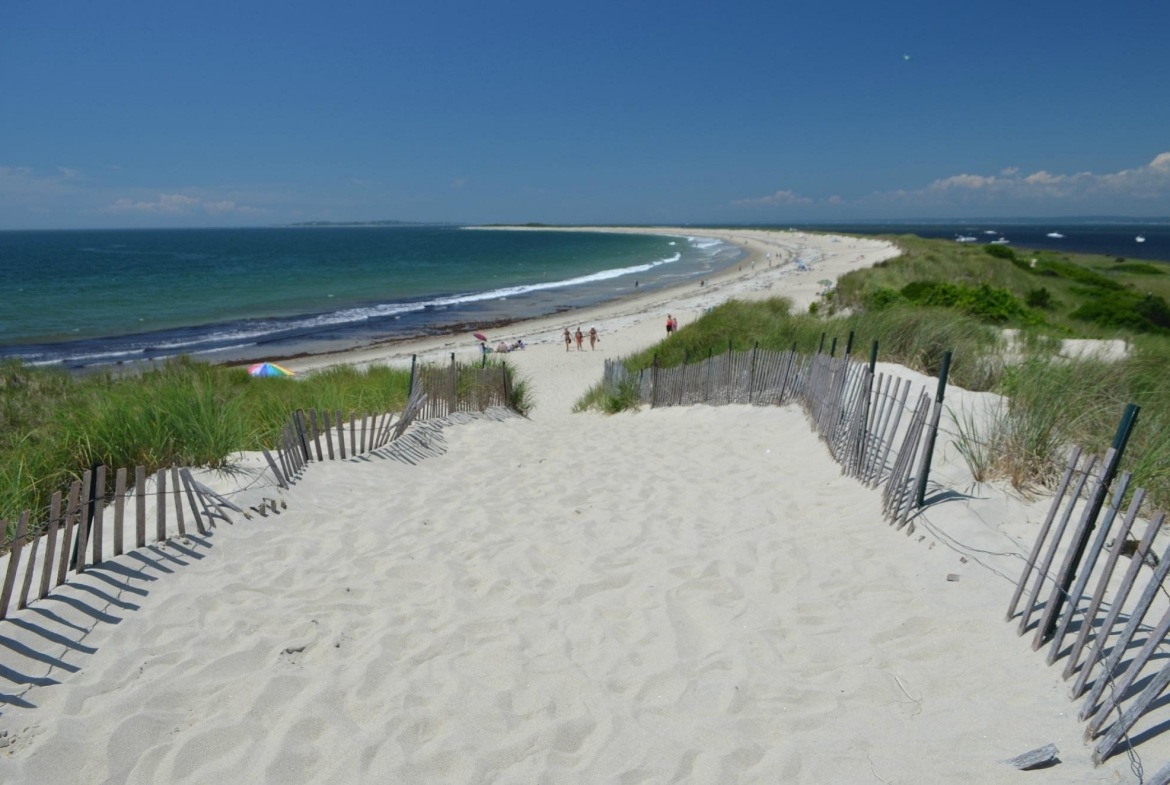beach area