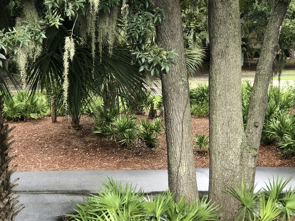 S.R. Hotel Grounds
