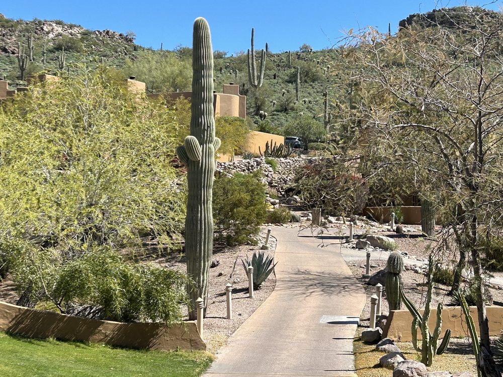 Villas Of Gold Canyon Grounds