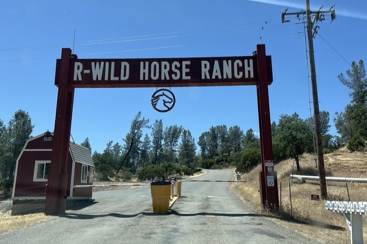 R Wild Horse Ranch sign