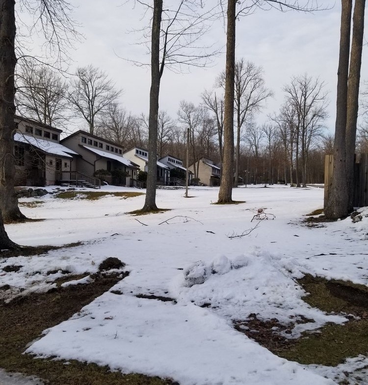 Wolf Run Manor At Treasure Lake Exterior
