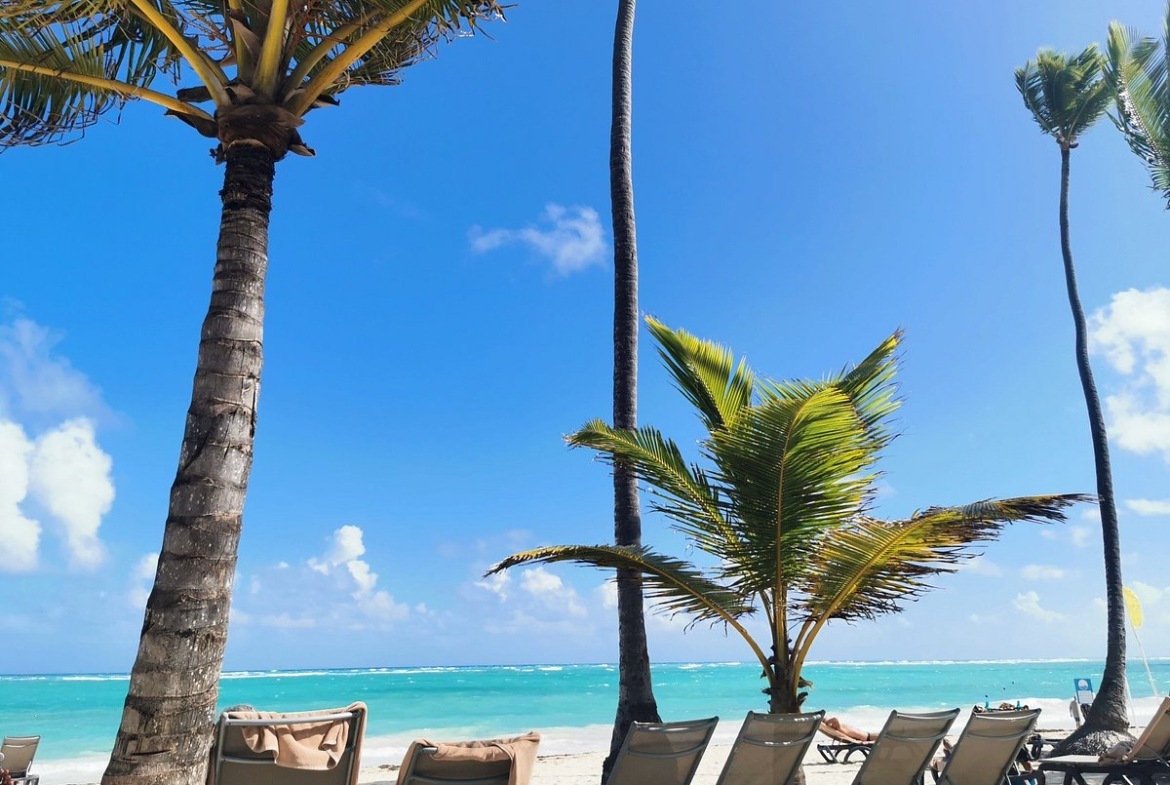 beach area