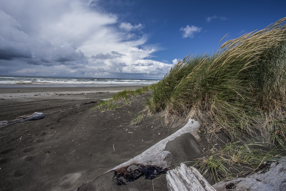ocean breeze ocean shores