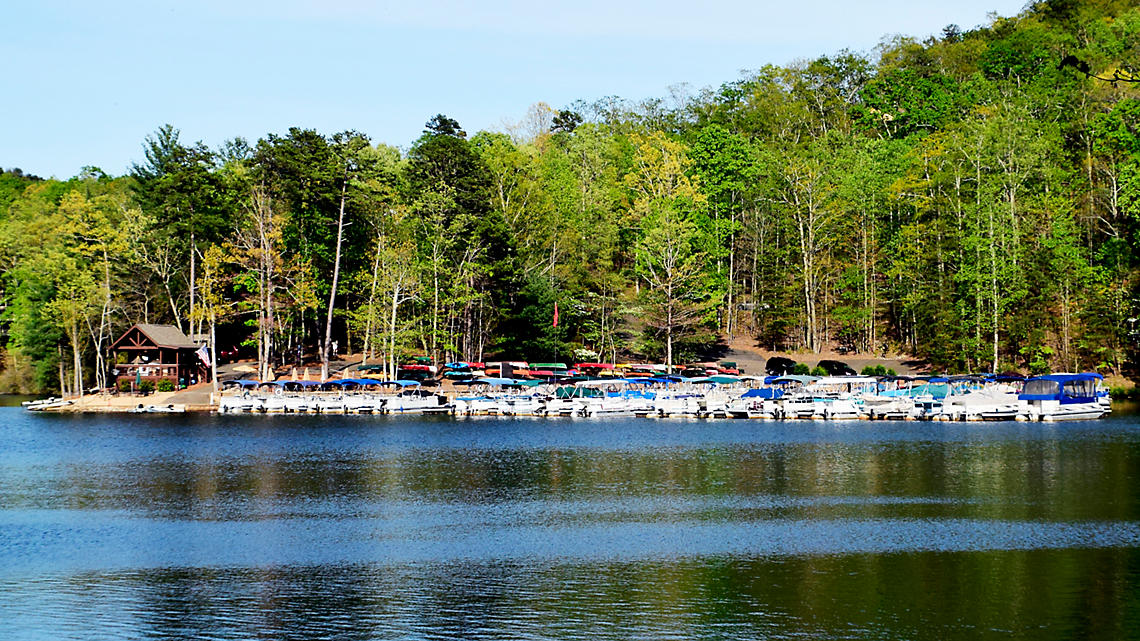 Petit Crest Villas At Big Canoe marina