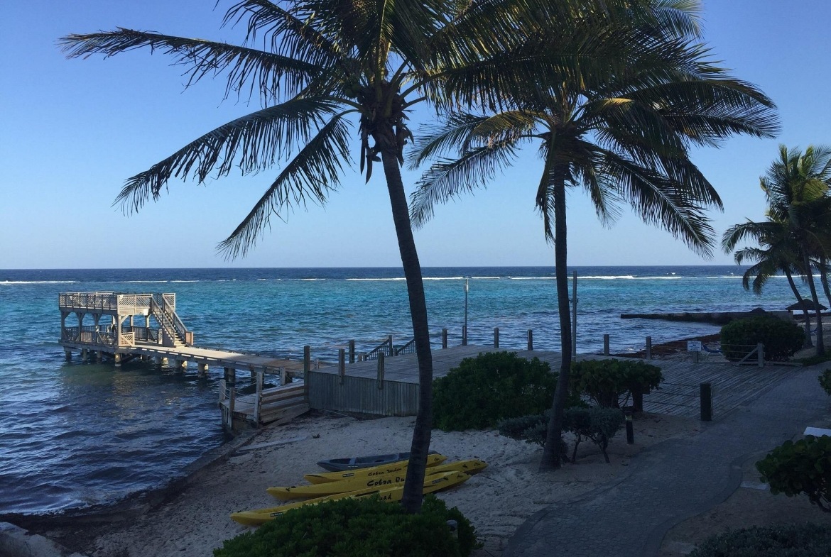 Photos of Divi Carina Bay Beach Resort & Casino exterior