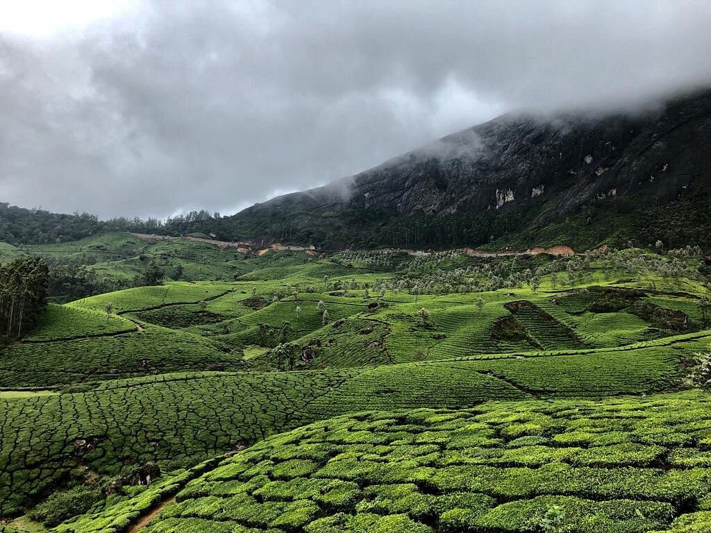 Club Mahindra Lakeview Resort – Munnar landscape