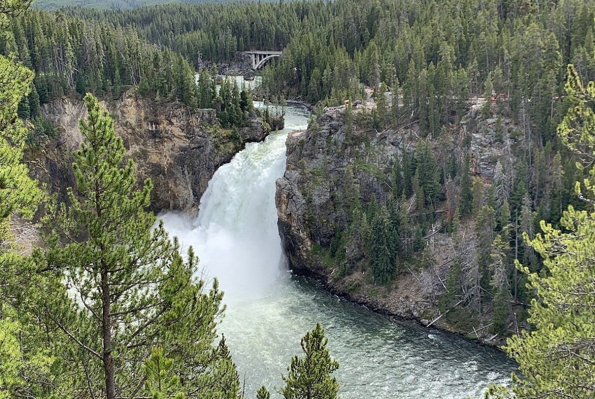 Jackson Hole area