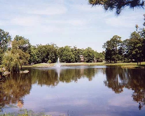 pond area
