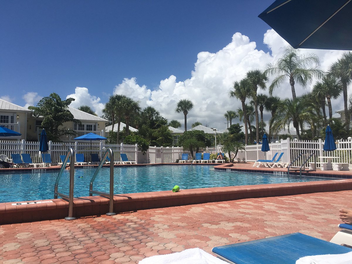 pool oyster bay florida