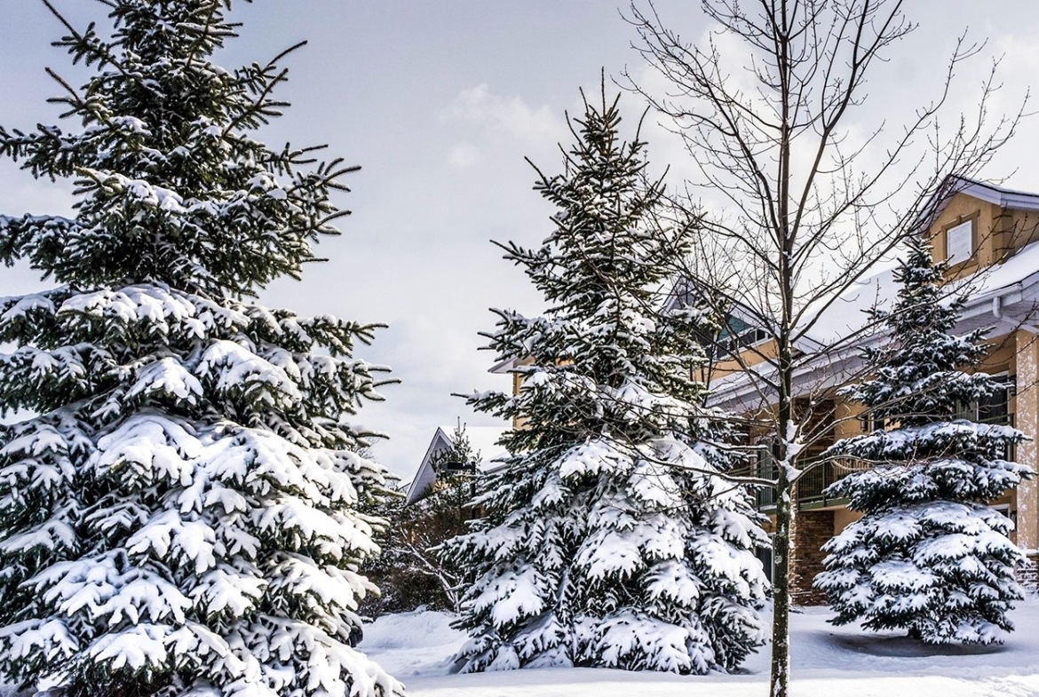 Rhg Vacation Club snow