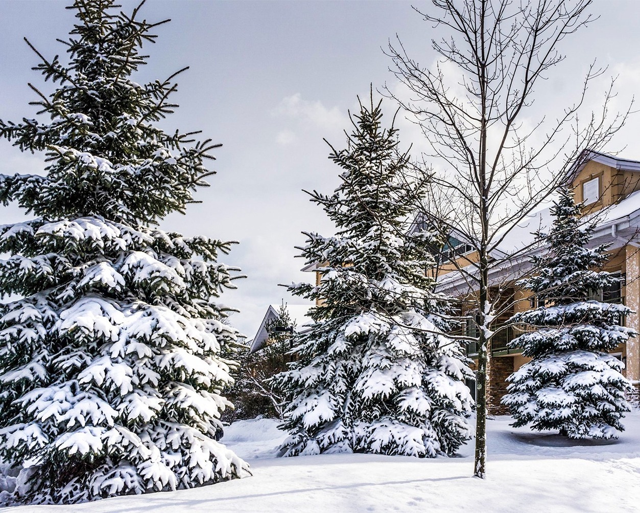 Rhg Vacation Club snow