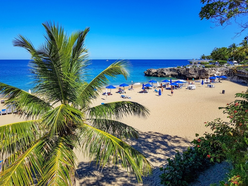 Coconut Palms Resort