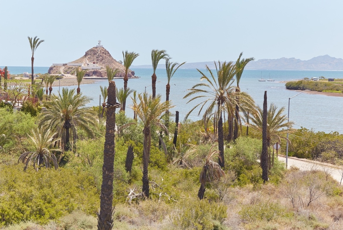 Cabo San Lucas, Baja California Sur Mexico 1