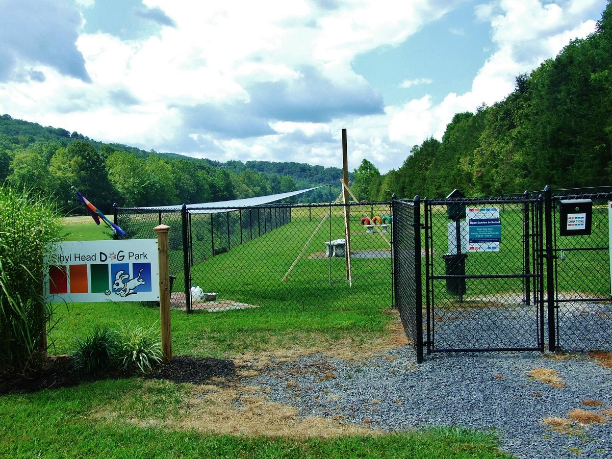 The Pines Dog Park