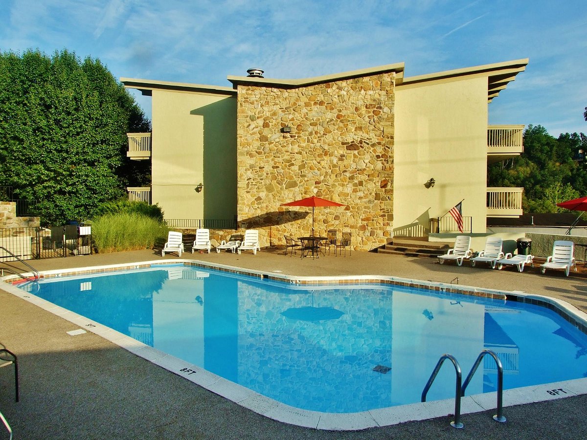 The Pines Pool
