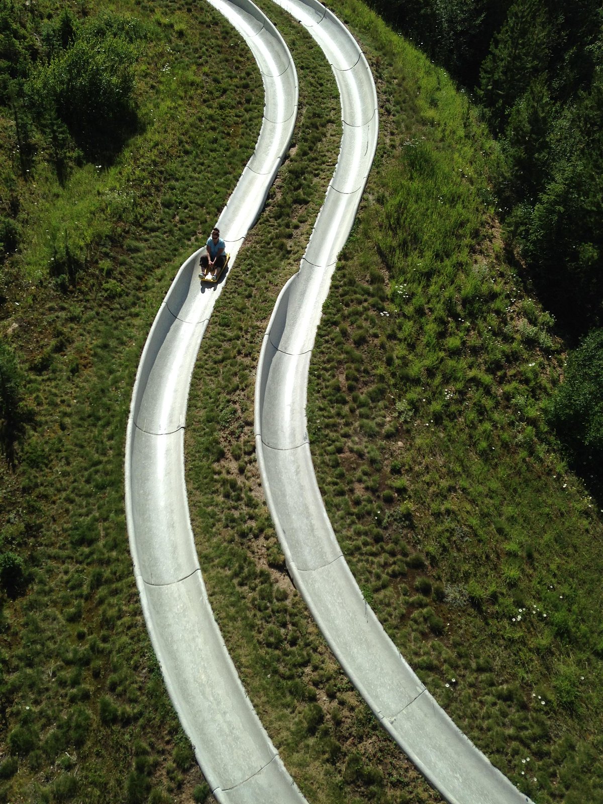 Timber Run Alpine Coaster