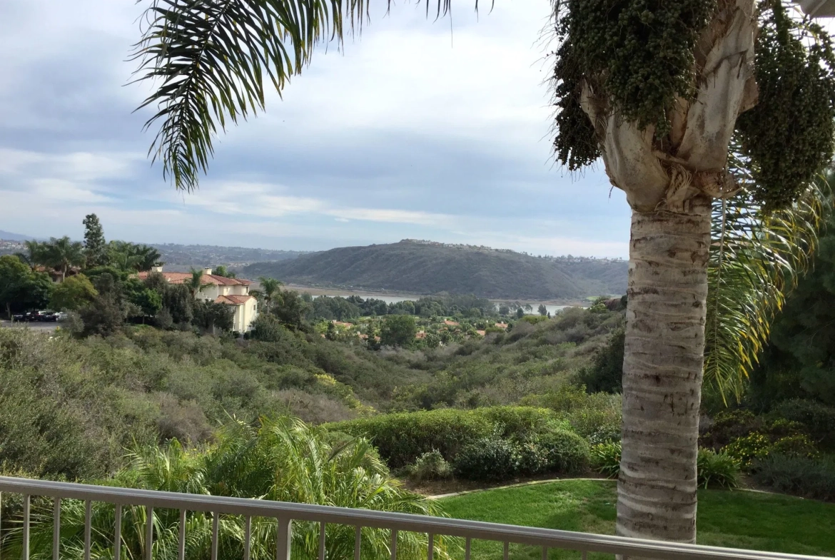 view from resort