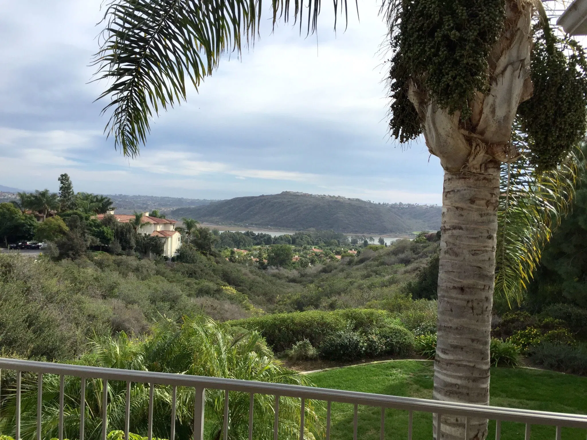 view from resort