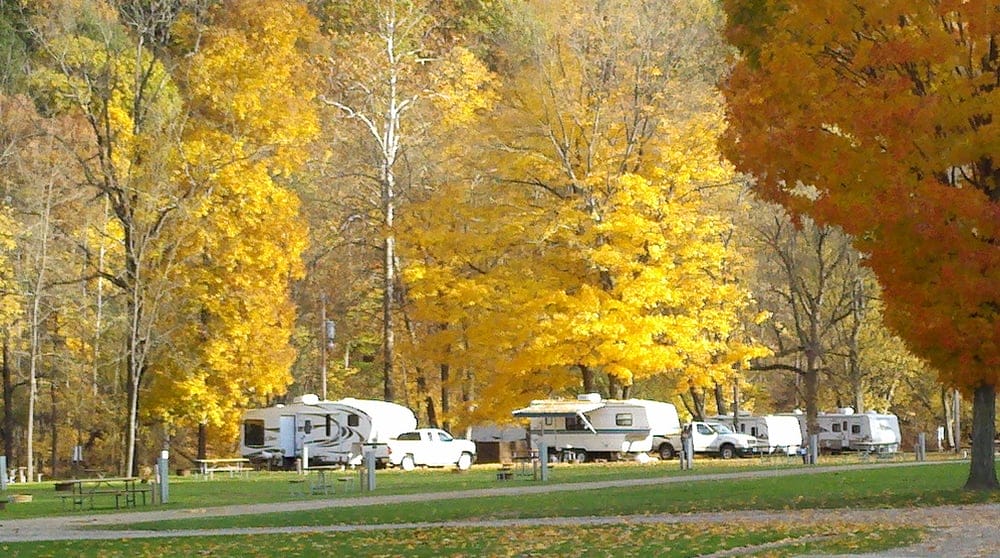 Wally World Riverside Resort