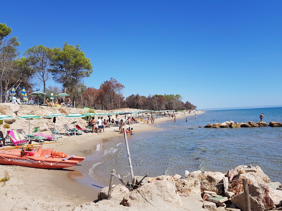 beach area