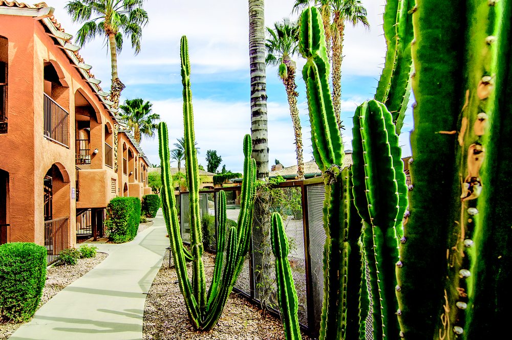 Scottsdale Resort Club