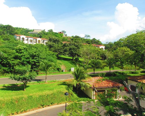 greenery