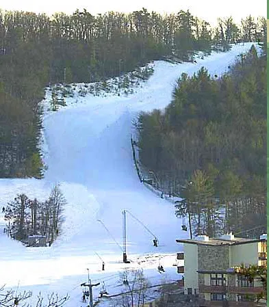Stony Court Ski Area