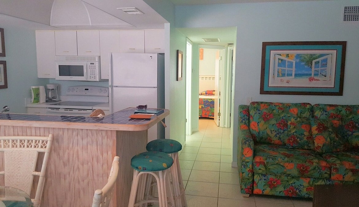 Living Area and Kitchen