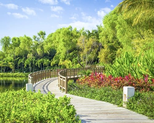 walking path