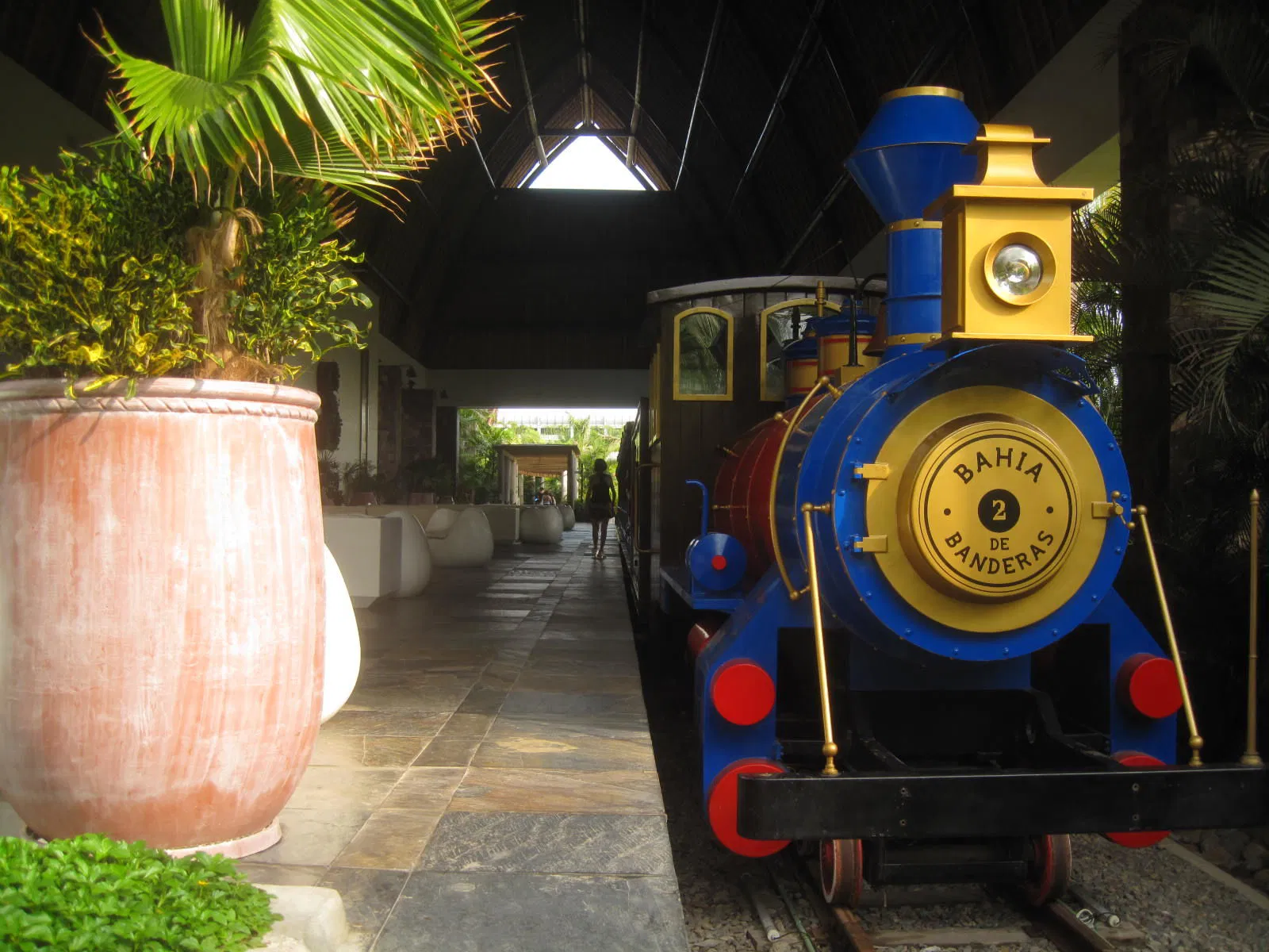 The Grand Mayan at Vidanta Nuevo Vallarta Train