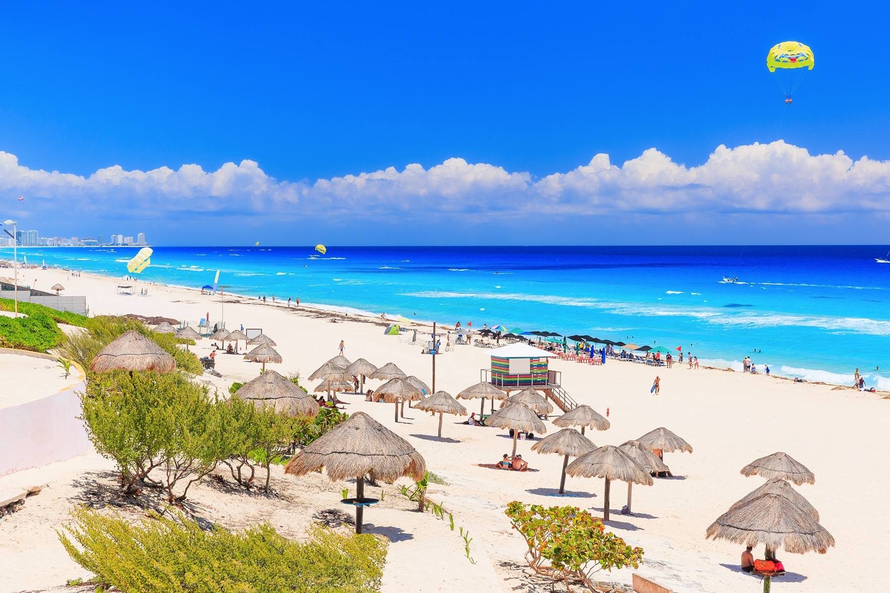 Dolphin Beach in Cancun Mexico