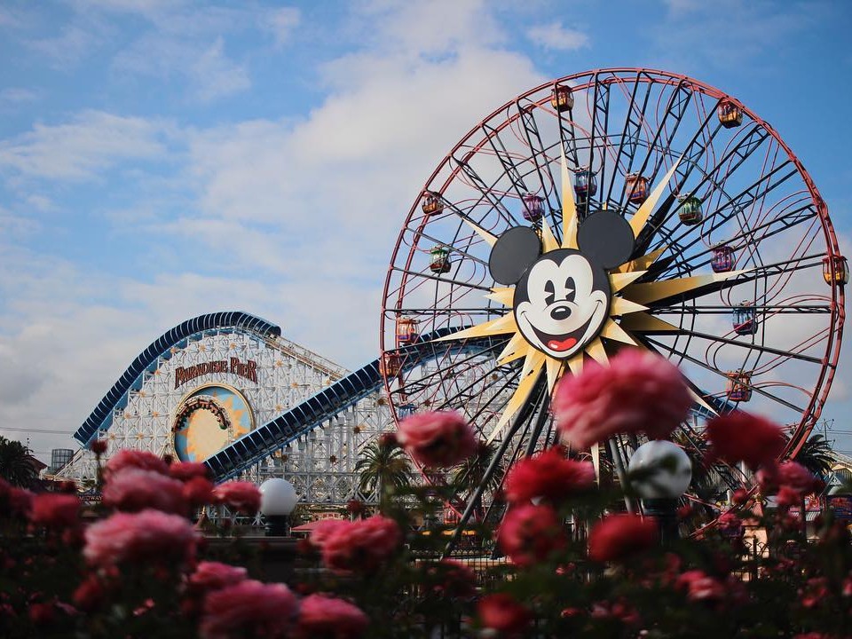 Is Disney Vacation Club Worth It: California Adventure