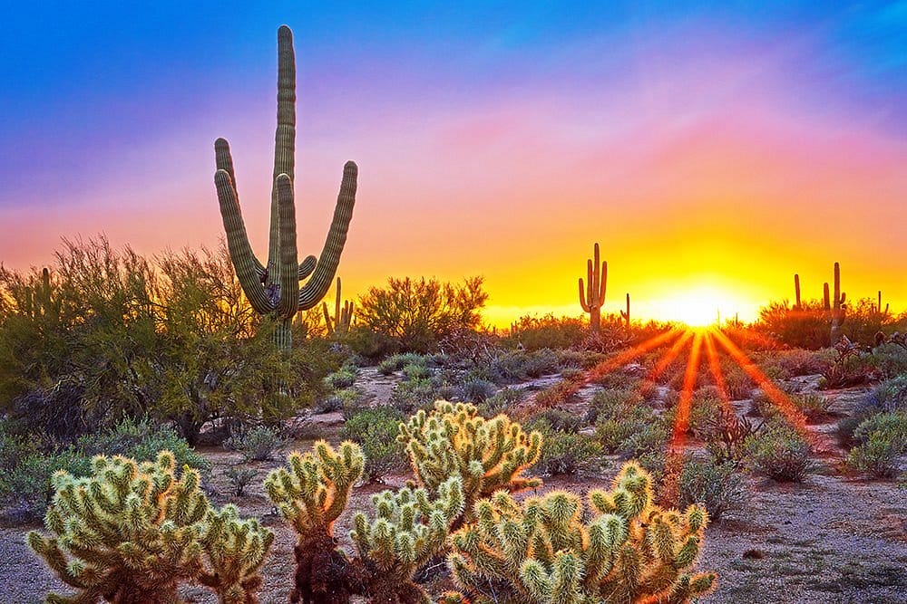 Cheap Vacations in February: Scottsdale