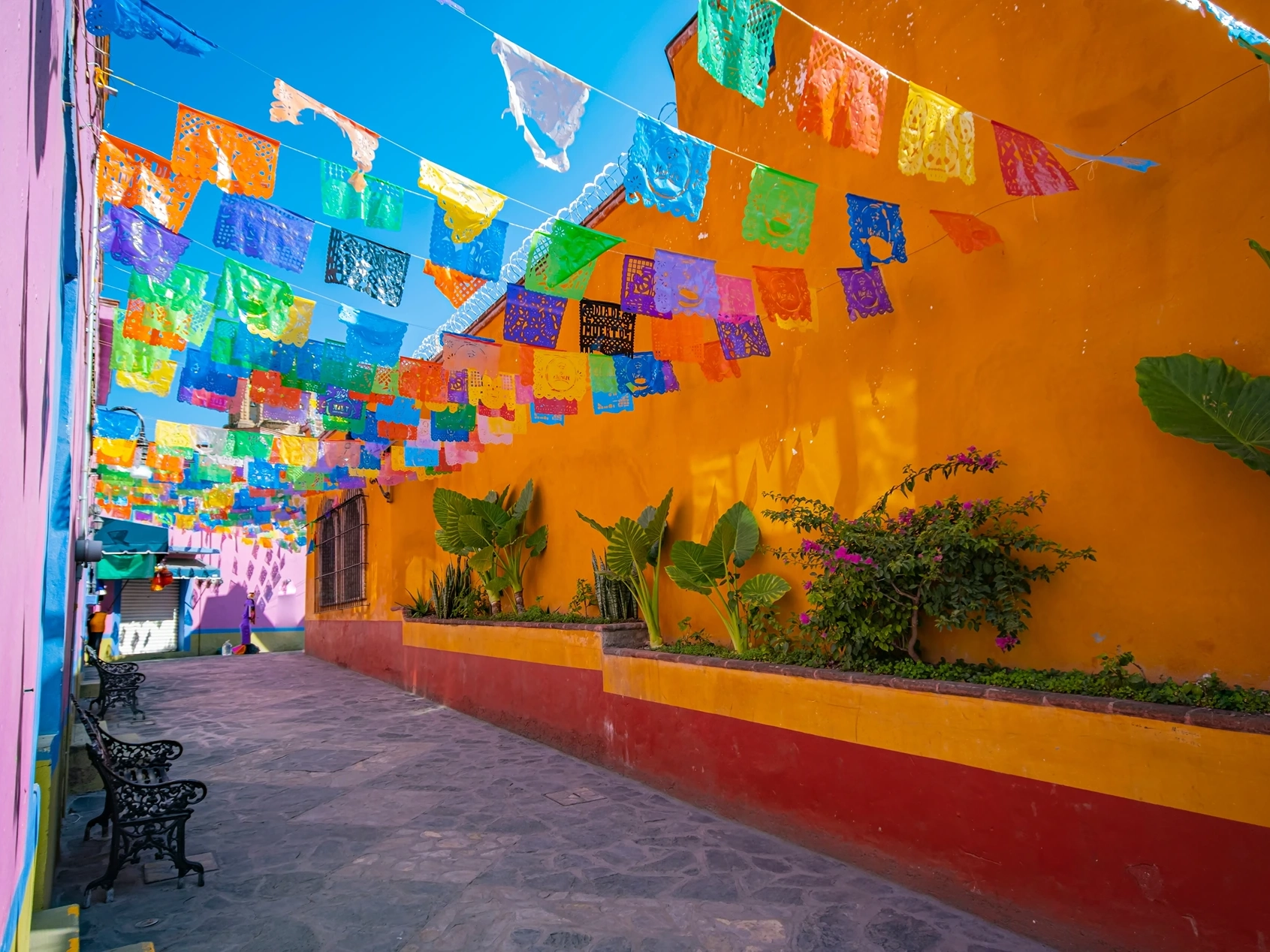 Mexico Spring Break Destinations Street