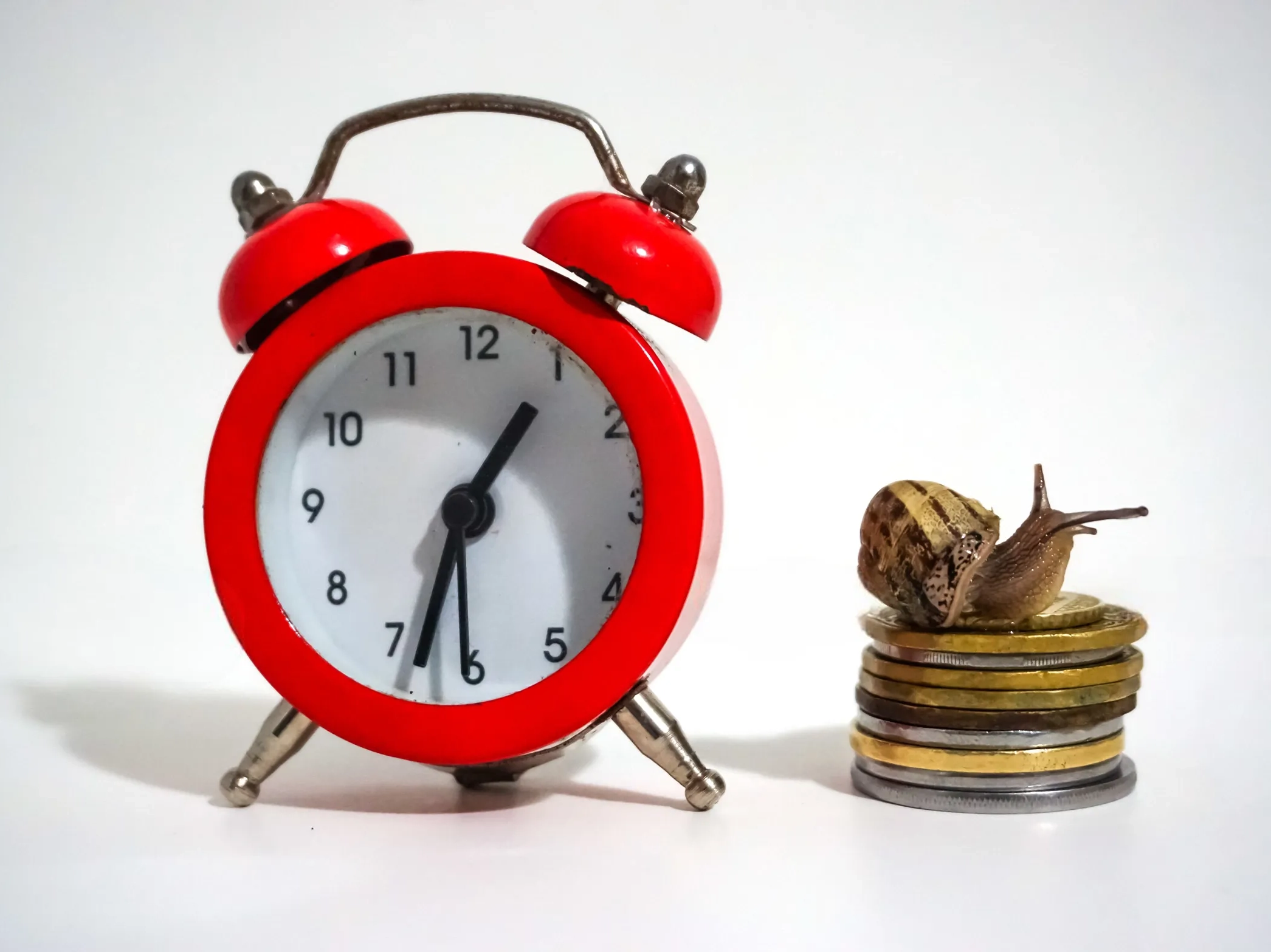 Is Owning a Timeshare Worth It? Cost Projection