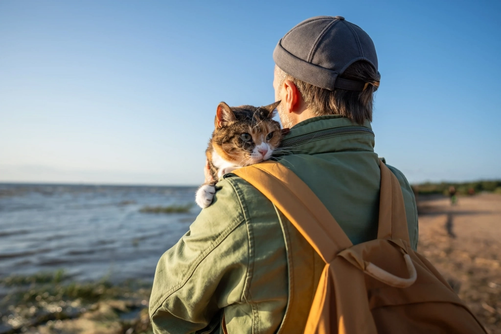 Pet Friendly Timeshare Destinations