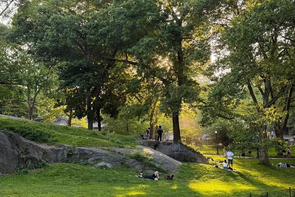 Central Park