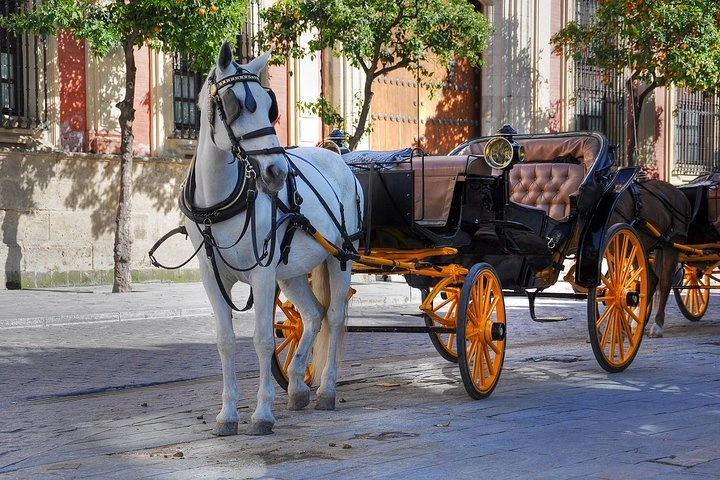 Horse Carriage in Central Park