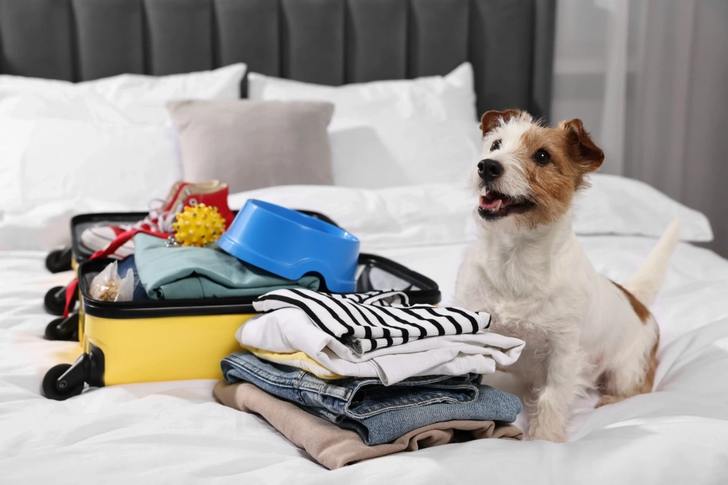 Bring Your Pet on Vacation with Pet Friendly Timeshares