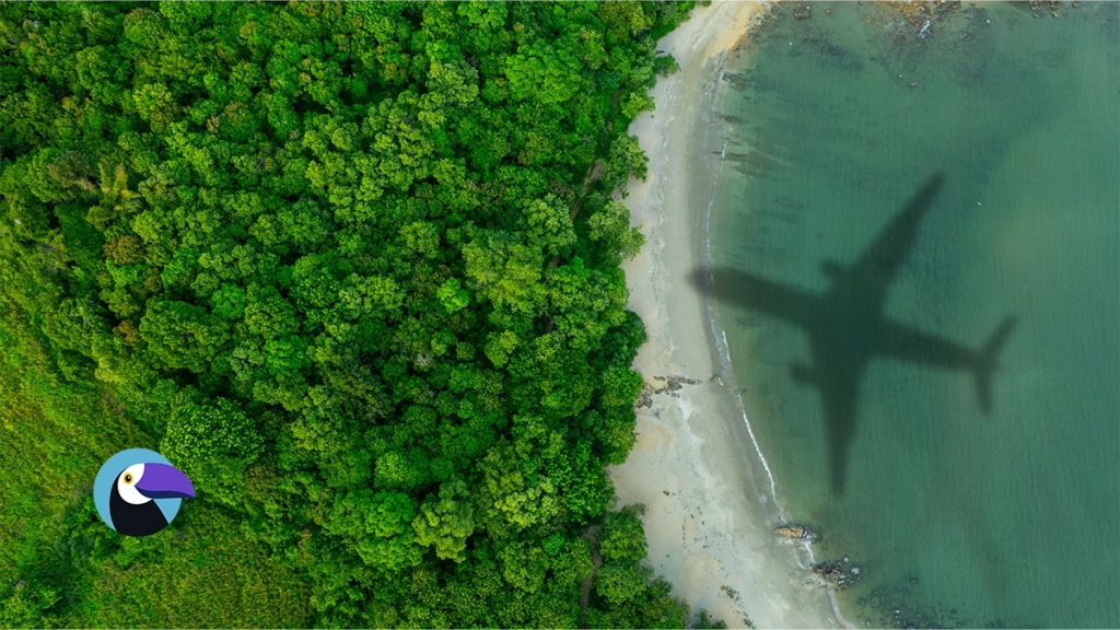 An aerial photograph looking directly down onto a vibrant tropical coastline. Dense, lush green jungle covers the left side, meeting a sandy beach that frames a calm, greenish-blue ocean. On the shallow water, a distinct, large shadow of a twin-engine commercial airplane is clearly visible.