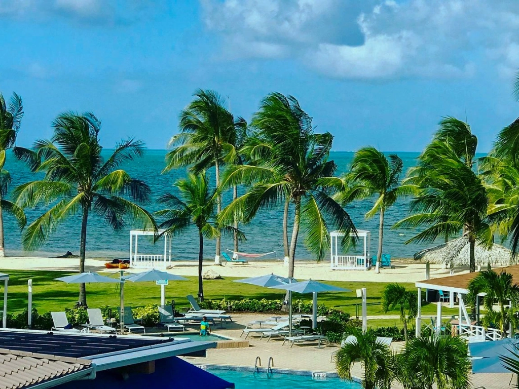 Tropical beach view with palm trees, clear water, and lounge chairs by a pool at Grand Caymanian Resort - Summer Vacation Ideas